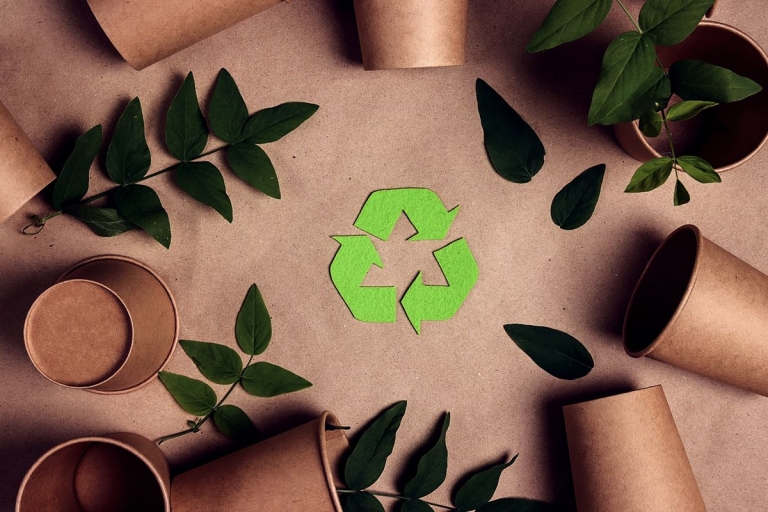 Czy karton jest biodegradowalny?